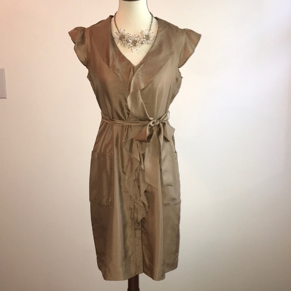 Banana Republic Silk Shirtdress